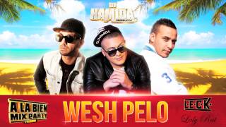 Dj HAMiDA, LECK, LALY RAi - WESH PELO (son officiel)