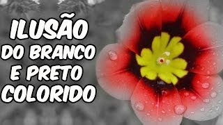 Olhos que enganam: veja cores no preto e branco