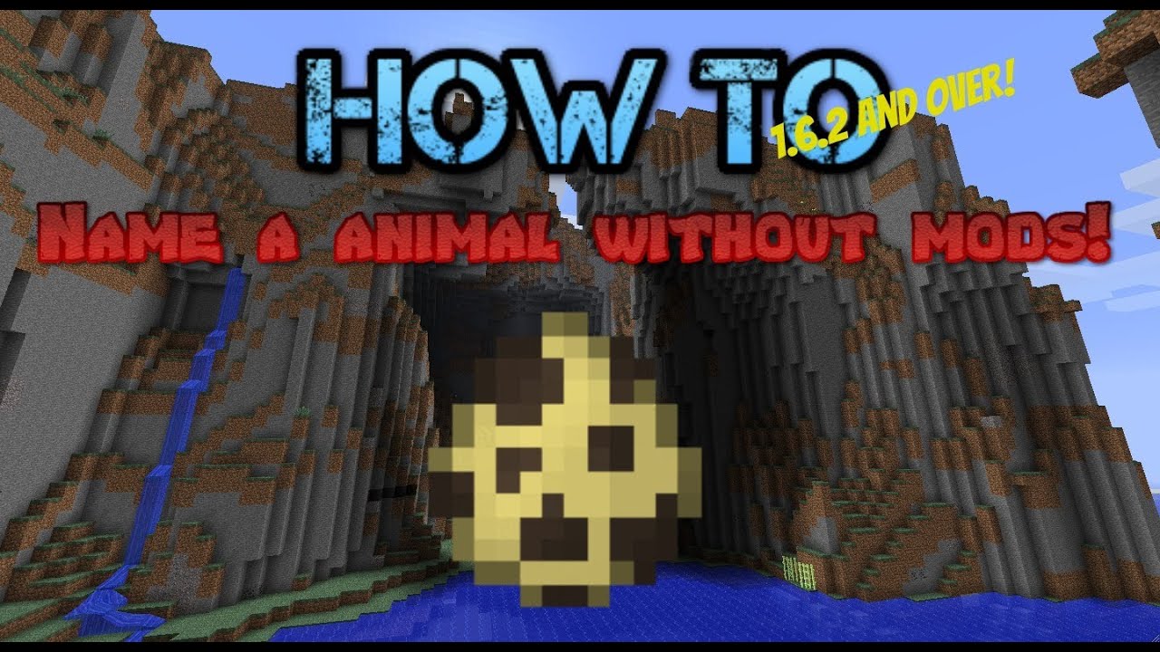 Minecraft how to name a animal without mods 1.6.2 - YouTube