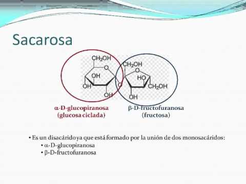 ¿Qué es el azúcar invertido? - YouTube ¿Qué es el azúcar invertido? - YouTube