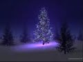 thetubemedia com The Tube Media Scotty Vs Wham Christmas In The Caribbean Splash Bootleg Mix Videos