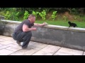 Taming a feral cat