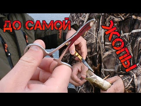 Интересные видео про рыбалку