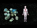 World_info_capacity_animation