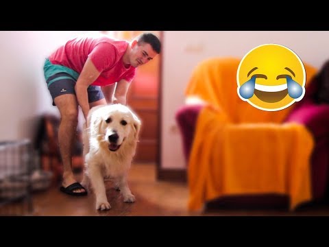 My Dog Doesn't Want to Take a Bath!