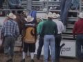 Rodeo Horse Fatally Gored by Bull at High School Rodeo