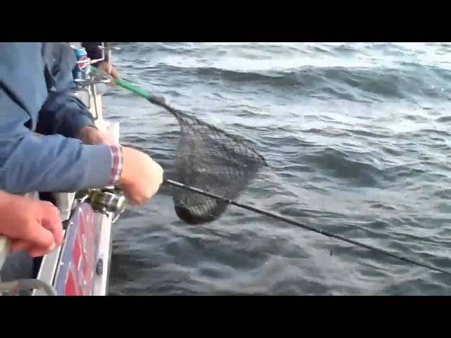 Launch Fishing on Mille Lacs Lake