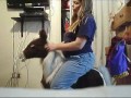help with Smores pony