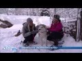 Les animaux de la 8 à la neige