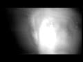 REAL HYBRID ALIEN CREATURE ON CAUGHT FILM