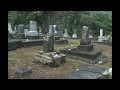 REAL HYBRID ALIEN CREATURE ON CAUGHT FILM