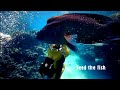 Thumbnail 2 for Tourism Queensland Seeks Applicants For "The Best Job In Thumbnail 2 for Tourism Queensland Seeks Applicants For "The Best Job In