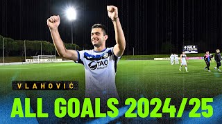 Tutti i 23 GOL di Vanja VLAHOVIC ???? | All GOALS from 2024/25 ??