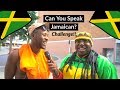 can you speak jamaican      accent cha