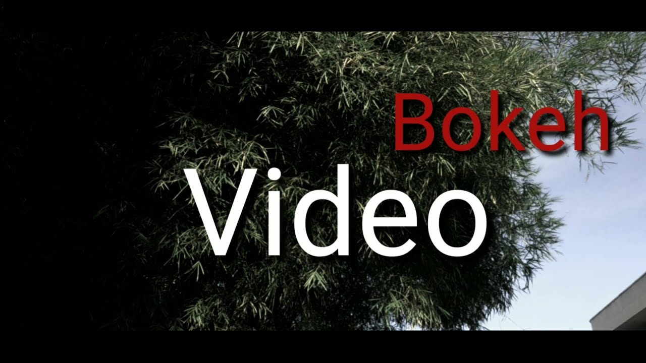 Featured image of post Bokeh Museum Bokeh Japanese Translation Discover the wonders of the likee