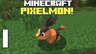 Minecraft Pixelmon! Porky!