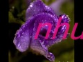 Người Con Gái Tôi Yêu - Hoang Duy KHOA.wmv