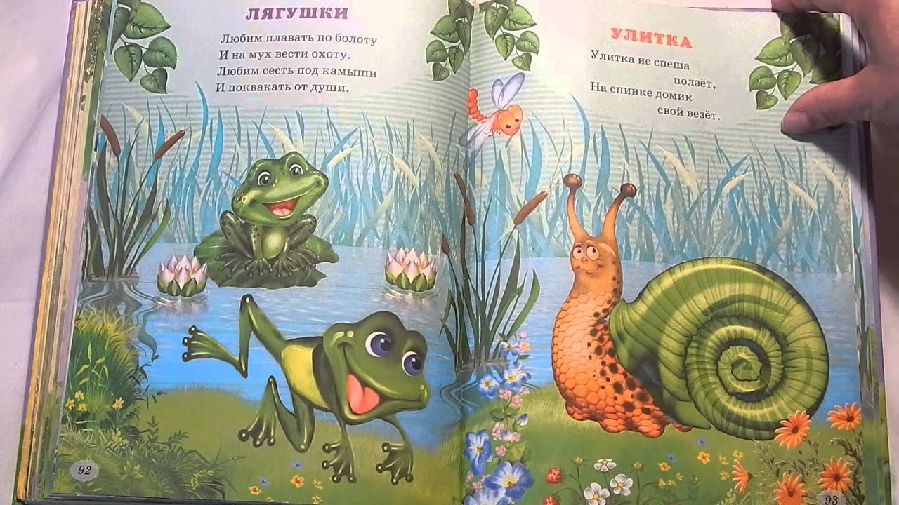 Короткий стих про лягушку Короткий стих про лягушку