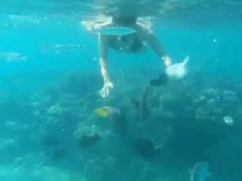 Sirenas reales encontradas vivas en el mar - Imagui Sirenas reales encontradas vivas en el mar - Imagui
