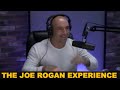 JRE #386 - Joey