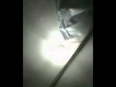 Ngentot - YouTube