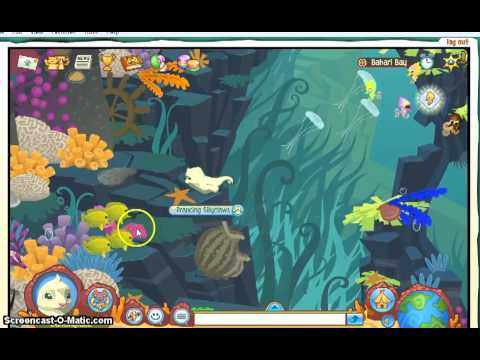 Animal Jam: Journey Book(Bahari Bay) - YouTube