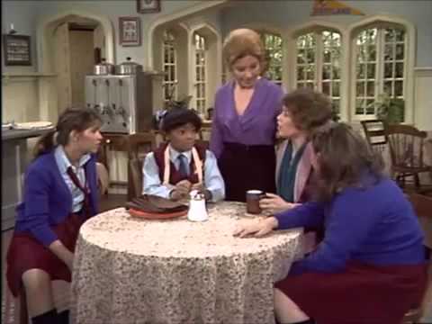The Facts of Life Cousin Geri