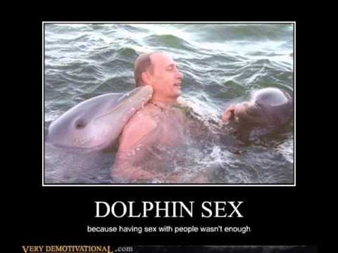 having sex with a dolphin