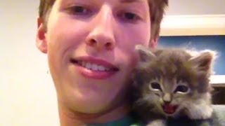 The Best Cat Vines Of 2013