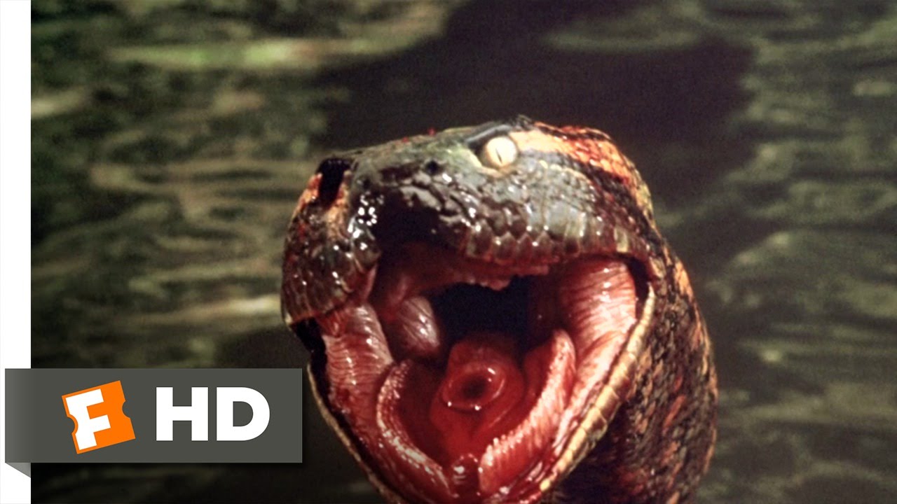 Anaconda (7/8) Movie CLIP - Anaconda at the Waterfall (1997) HD - YouTube