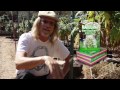 Jorge Cervantes: Lake County Outdoor Garden 2011 (Part 1)