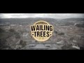 Video clip : Wailing Trees - Lost 