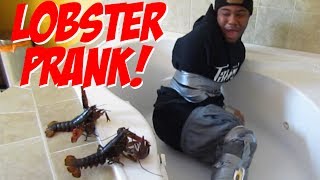 THE LOBSTER PRANK