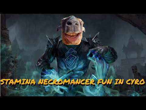 ESO PvP - Funny Stam Necro Footage