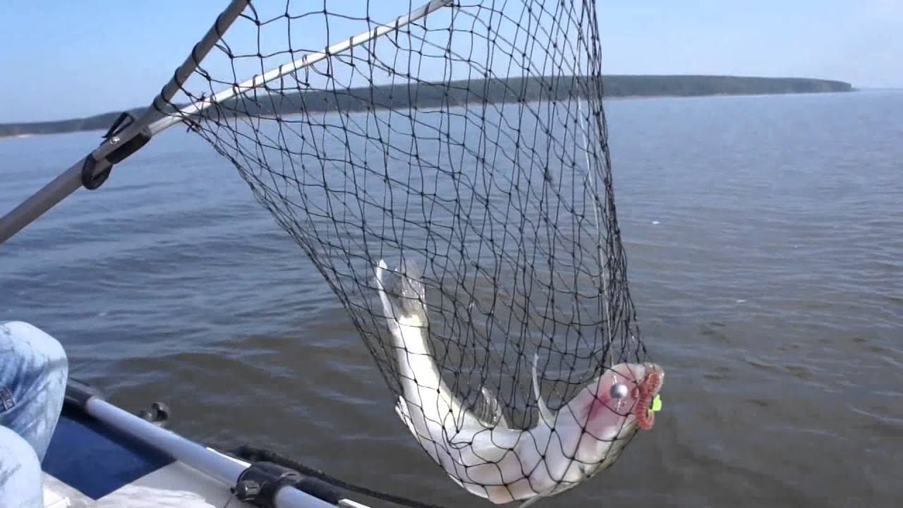 есть ли в ейске рыбалка есть ли в ейске рыбалка