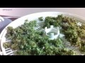Drying And Curing Marijuana - Medical Cannabis Home Grower