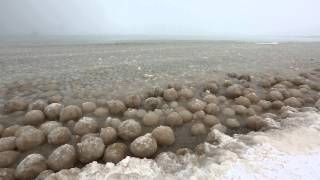 Ice Balls forming along Lake Michigan near Glen Arbor