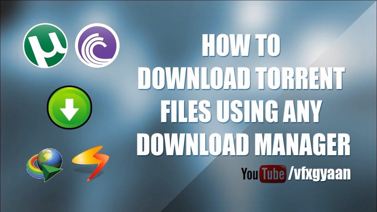 how to use torrent files