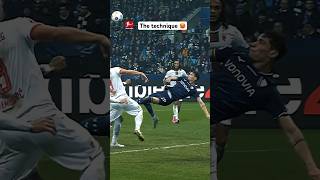 🤯 Bicycle Brilliance By Broschinski 🥵