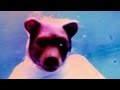 A Case For Shame (w. Cold Specks)