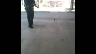 Cop Pepper Sprays Squirrel