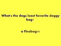 Funny Jokes To Tell Your Friends