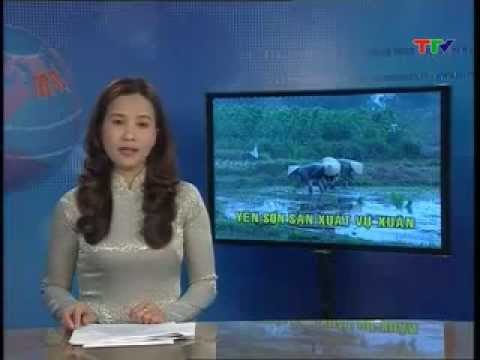 Thời Sự Tuyên Quang Ngày 17/2/2013