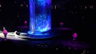 Ringling Bros Legends Providence Aerial performance acciden