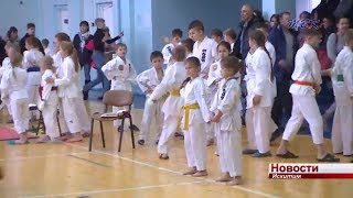 Две золотые медали уступили искитимские каратисты барнаульцам и заняли второе место в областном чемпионате