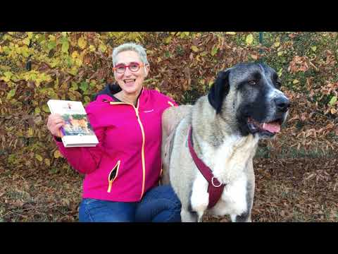 video Ich halte dich! 2 – Hunde-Ratgeber von Mirjam Cordt
