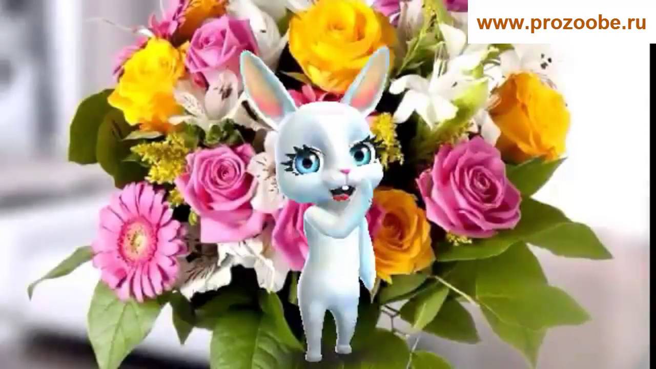 Поздравление с днем рождения женщине от зайки 664