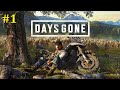 Days Gone Прохождение - Стрим #1
