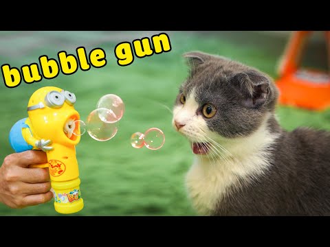 Cats vs Bubble Gun (The Happy Pets #16)