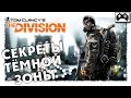 The Division 
